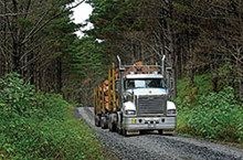 Land transport review will cut red tape, says NRC