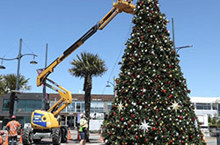 Community spirit and a Christmas tree to the rescue