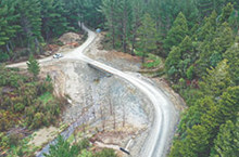 Environmental Forestry 2026