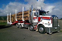 Patchell Group expands options through Australian joint venture