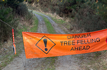 Reasons forest road closures are ignored